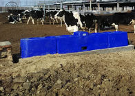 LLDPE เทอร์โมรางน้ำอัตโนมัติสำหรับวัว / หมู 6M ป้องกันฟรอสต์ฟรี 40L - 80L